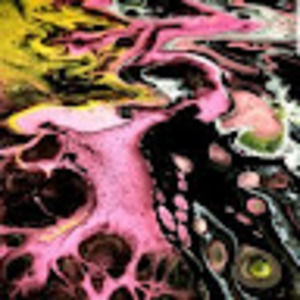 Meet your Posher, Jay